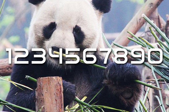 Lovable Font PNG with transparent background - Preview 2