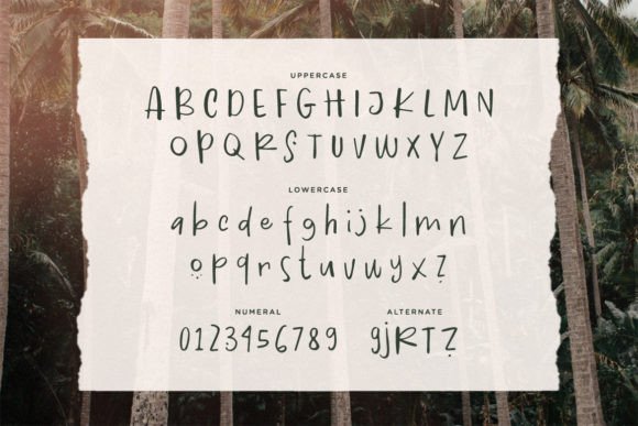 Palmiva Font PNG with transparent background - Preview 1