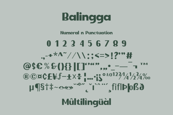 Balingga Font - Preview 4