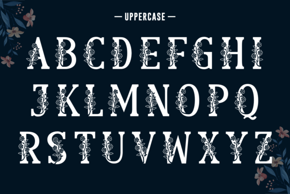 Beauty Reason Font - Preview 4