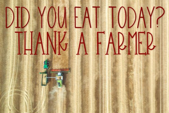 Farm Made Font - Preview 2