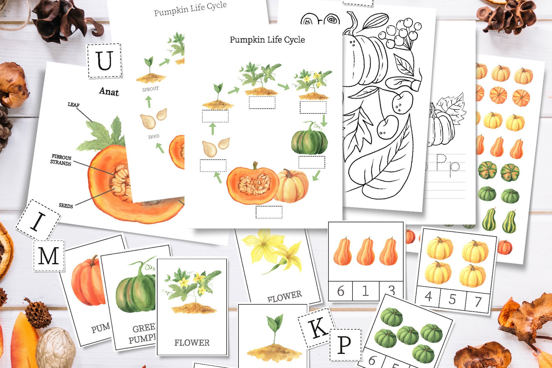 Pumpkin Unit Study, Fall Worksheet