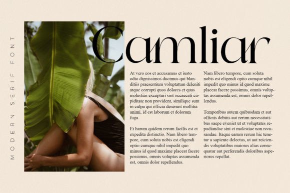 Qeilab Font PNG with transparent background - Preview 5