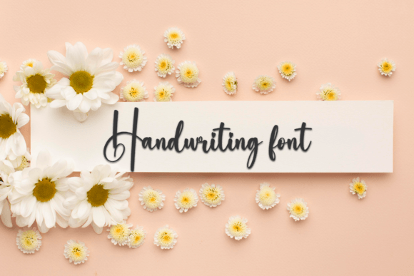 Amisha Font - Preview 3