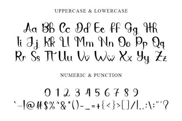 Buana Company Font font preview - 4