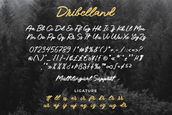 Dribelland Font - Preview 4