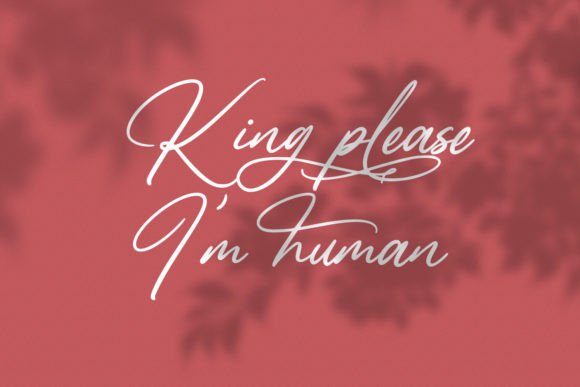 Fregante Font - Preview 4