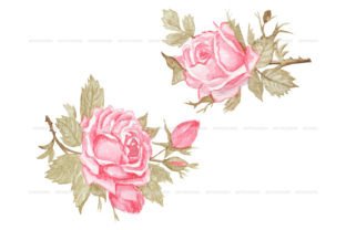 Watercolor Vintage Roses Clipart Graphic by ArtfulStudio · Creative Fabrica