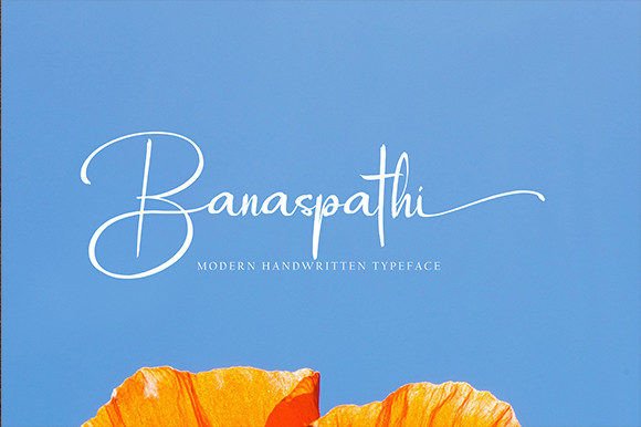Anasteshya Font - Preview 2