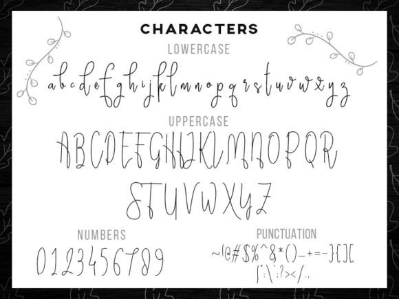 Brisk Wondering Font - Preview 2