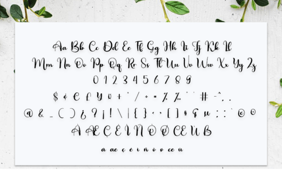 Caligraphy Font - Preview 4