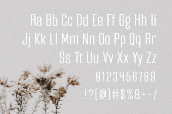 Davossy Font - Preview 5