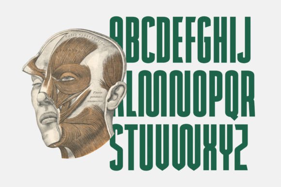 Newcaps Font PNG with transparent background - Preview 6