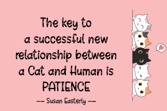 Kitty Sign Font PNG with transparent background - Preview 3
