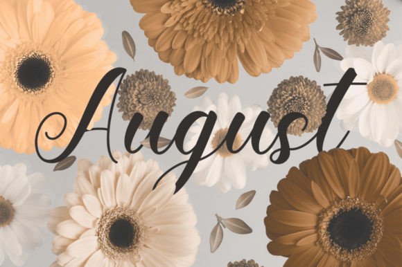 Abigail Font - Preview 5