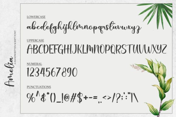 Amelia Font - Preview 1
