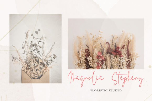 Sigtha Signature Font PNG with transparent background - Preview 4