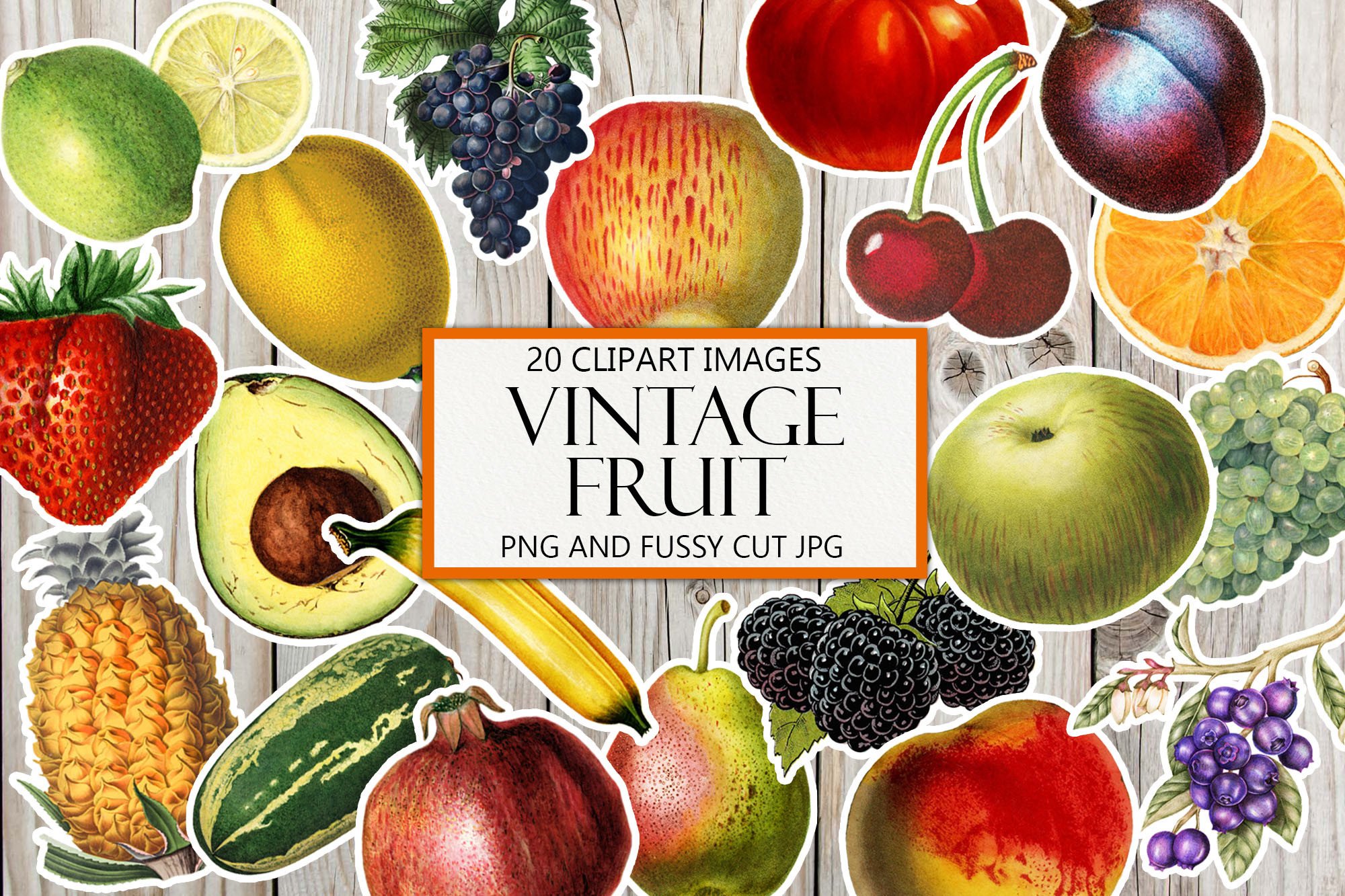 Vintage Fruit Clipart