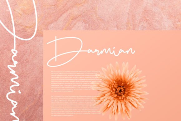 Bellogia Font - Preview 1