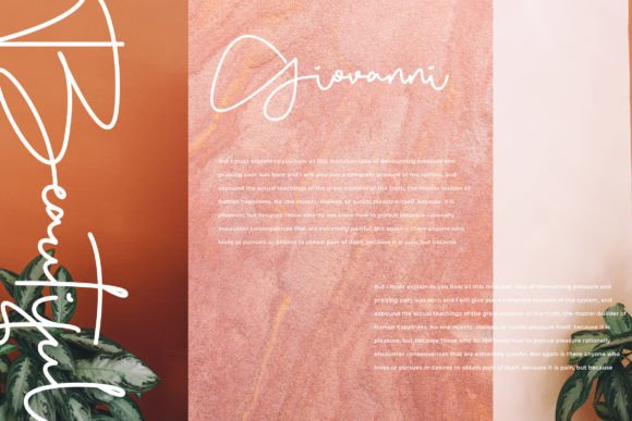 Bellogia Font - Preview 3