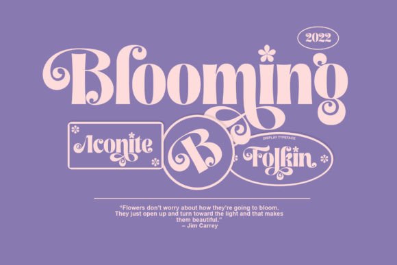 Folkin Font - Preview 3