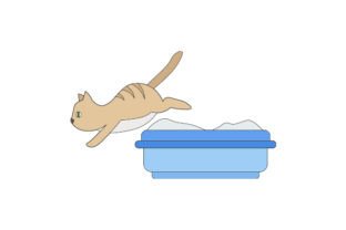 crave wet cat food Anaheim Feed & Pet Supply main image 1