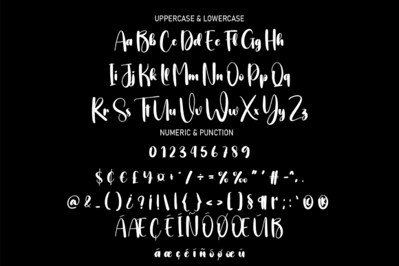 Bold Style Font - Preview 6