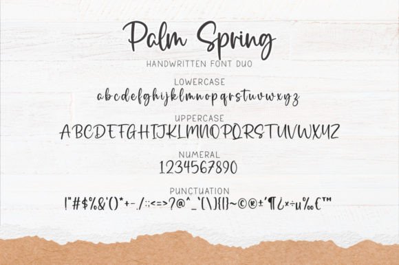 Palm Spring Font PNG with transparent background - Preview 5
