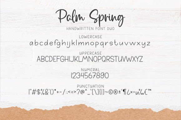 Palm Spring Font PNG with transparent background - Preview 6