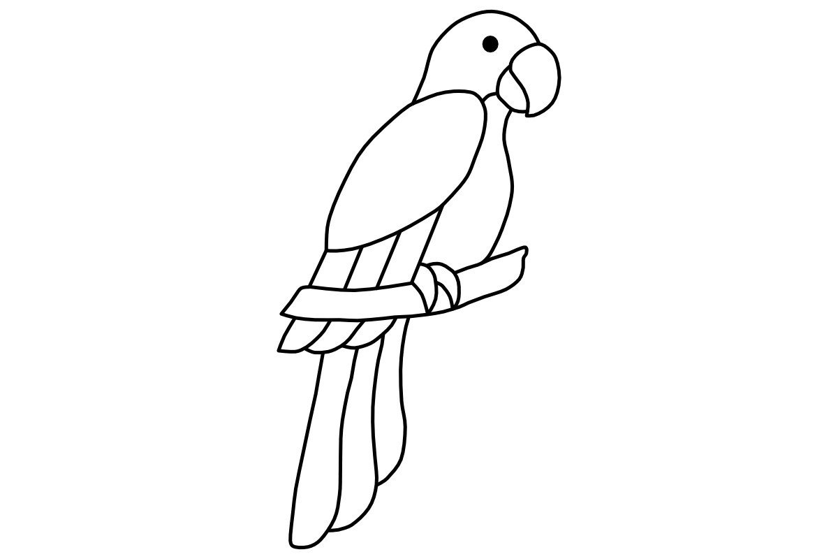 Parrot LineArt Procreate Brush Stamp
