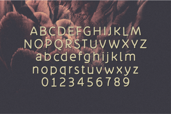 Abellone Font - Preview 1