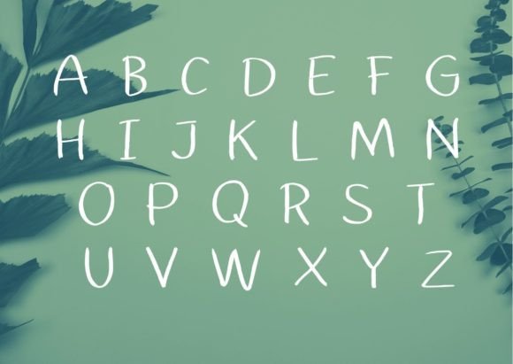 Rakko Font font preview - 1