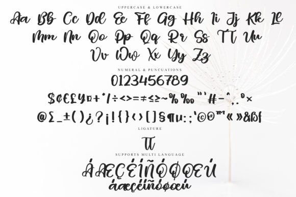 Antony Font - Preview 6