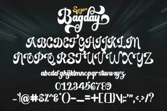 Bagday Script Font - Preview 6