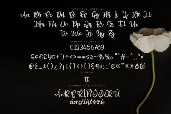Beguile Font - Preview 6