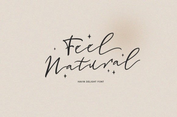 Havin Delight Font - Preview 1