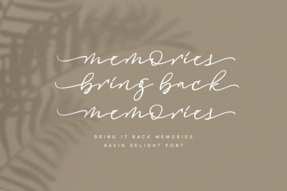 Havin Delight Font - Preview 4