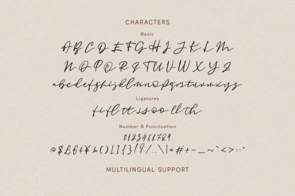 Havin Delight Font - Preview 6