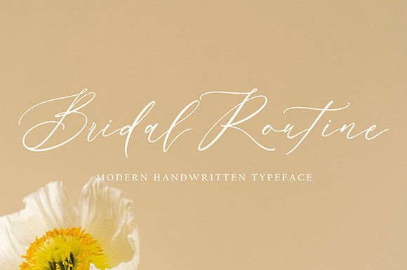 Amleson Beyitrra Font - Preview 1