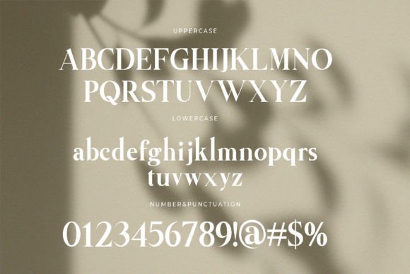 Anything Branding Font - Preview 5
