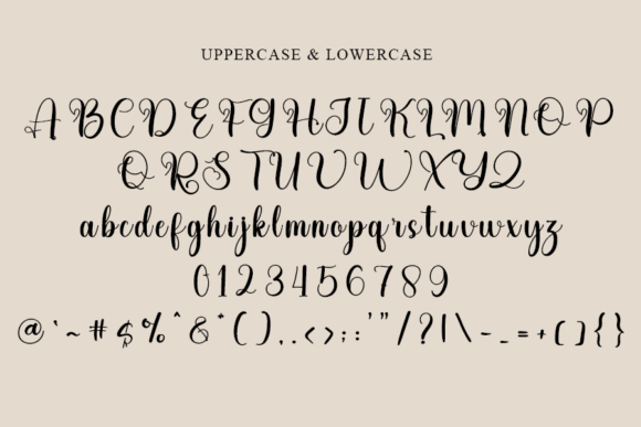 Buffalo Font - Preview 3