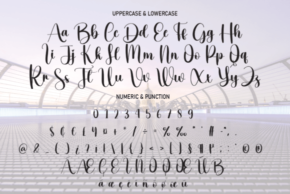 Calligraphy Font - Preview 6