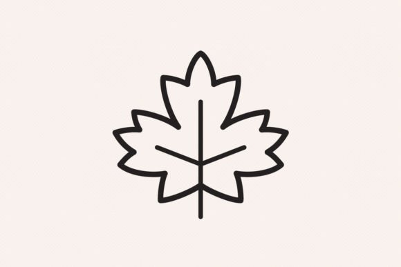 Maple Leaf Outline Icon