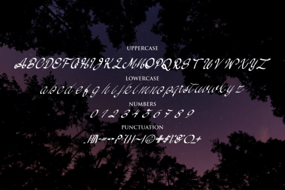 Alas Script Font - Preview 2
