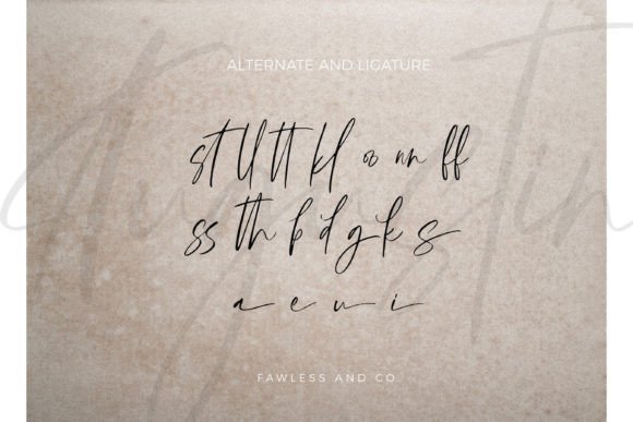 Augustin Font - Preview 2