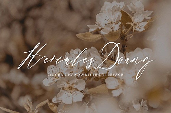 Benedeta Scotty Font - Preview 3