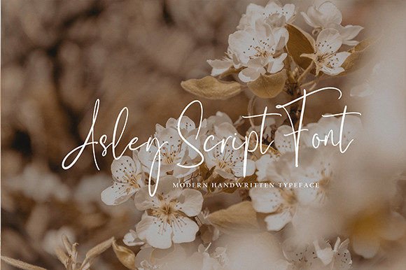 Kapethy Ballonde Font PNG with transparent background - Preview 4