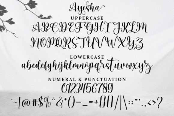 Ayesha Font - Preview 6