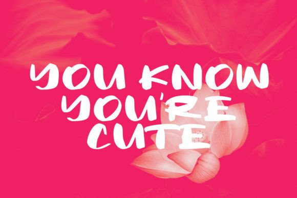 Hatchira Font - Preview 3