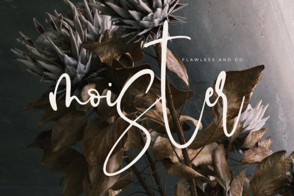 Moister Font PNG with transparent background - Preview 1